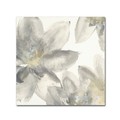 Trademark Fine Art Chris Paschke 'Gray and Silver Flowers I' Canvas Art, 35x35 WAP02117-C3535GG